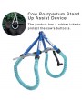 Cow Postpartum Stainless Steel Stand Support Assist Device Holder Frame