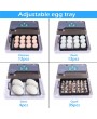 [US-W]12-Egg Adjustable Egg Tray Practical Fully Automatic Poultry Incubator Set US Plug