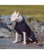Water Repellent Softshell Dog Jacket Pet Clothes for Spring Autumn，Outdoor Sport Dog Jacket with High Neckline Collar Cold Weather Pets Apparel Winter Warm Coats Puppy Comfort Vest-（black，size XL）