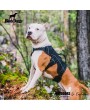 Professional Dog Harness Adjustable Pet Body Harness Vest Visible at Night Outdoor Training Harnesses Premium Quality Chest Straps No-Pull Effect--（black，size L）