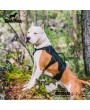 Professional Dog Harness Adjustable Pet Body Harness Vest Visible at Night Outdoor Training Harnesses Premium Quality Chest Straps No-Pull Effect-（black，size M）