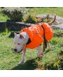 Dog Coats Small, Waterproof ,Warm Outfit Clothes Dog Jackets Small,Adjustable Drawstring Warm And Cozy Dog Sport Vest-（orange，size XL））