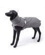 New Style Dog Winter Jacket with Waterproof Warm Polyester Filling Fabric-（Gary ，size M））